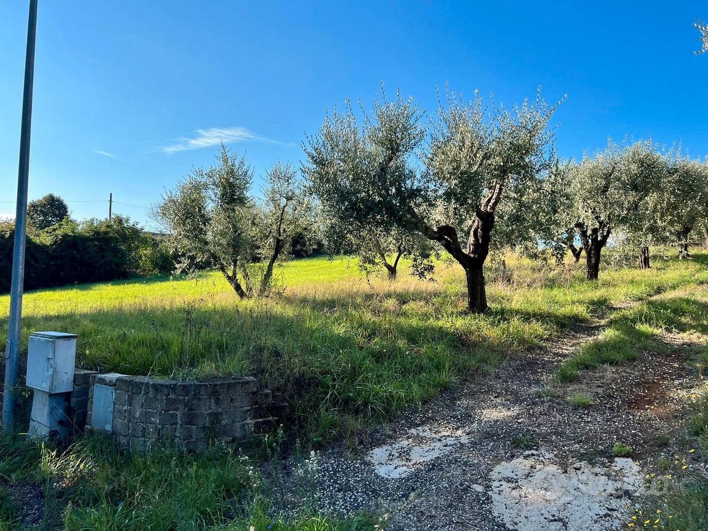 Gallicano nel lazio terreno agricolo - Vista 3