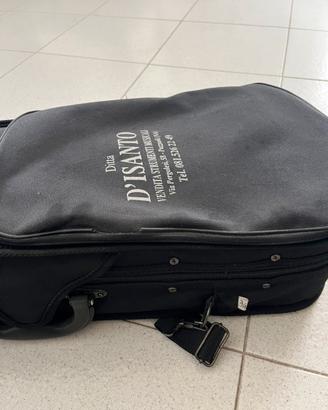 Violino