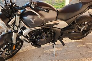 Voge Trofeo 500 - 2022