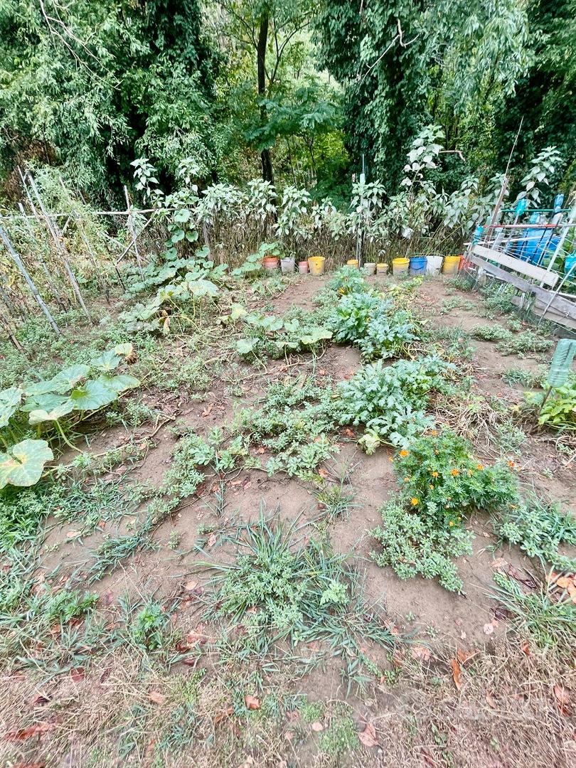 Terreno agricolo - Vista 3