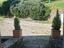 Immagine 17