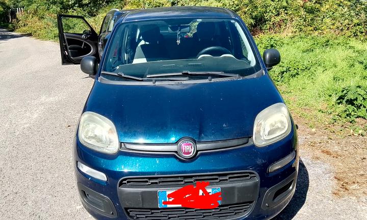 fiat panda