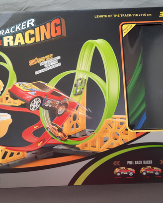 Pista macchinine