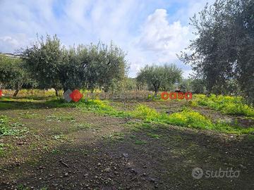 Terreno Agricolo Belpasso [Cod. rif 161VCG]