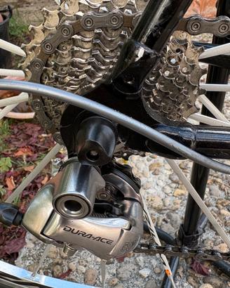 Colnago c50. 50 esimo. Anniversario