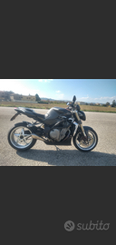 Terminale scarico HP CORSE HYDROFORM