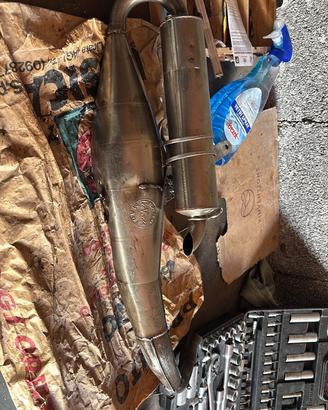 Marmitta leovince tt