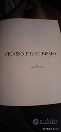 Libro di pittura, Piccasso