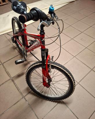 BICICLETTA BAMBINO RAGGIO 20