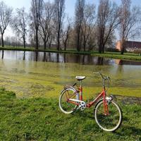 Bicicletta pieghevole Azzurra 24