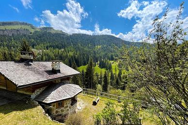 Maso nel Primiero - Trentino