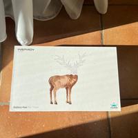 Tablet grafica Huion