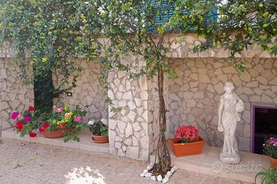Monolocale Ischia zona Cartaromana