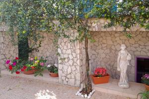 Monolocale Ischia zona Cartaromana