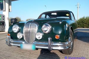 Daimler Super V8 250 •Targa Oro•
