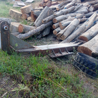 Falcone per pinza forestale