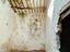 Immagine 11