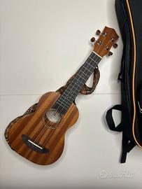 Ukulele 4 corde