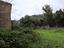 Immagine 15