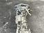 Immagine 20