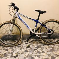 Bicicletta Alpina da ragazzo