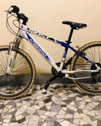 Bicicletta Alpina da ragazzo