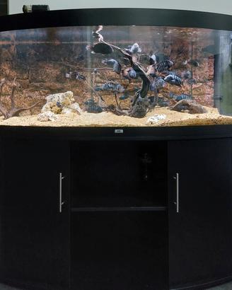 Acquario JUWEL 450 Vision