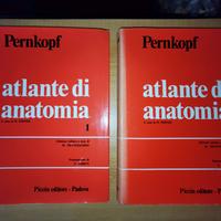 PERNKOPF ATLANTE DI ANATOMIA RARA PRIMA EDIZIONE 