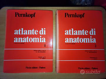 PERNKOPF ATLANTE DI ANATOMIA RARA PRIMA EDIZIONE 