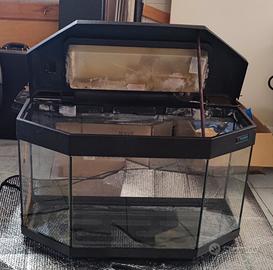 Acquario 120 litri