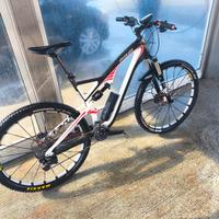 Specialized carbonio XL