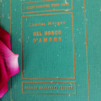 Collection Libri Antichi Nel bosco d'amore