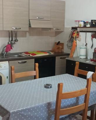 appartamento con entrata indip a P.T +corte comune