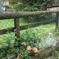 Estate 25 - Val di Fassa - con giardino si cani