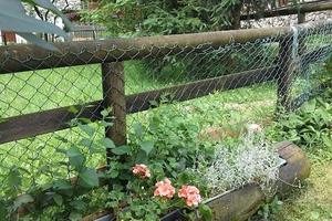 Estate 25 - Val di Fassa - con giardino si cani