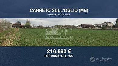 Immobile in asta di 9900 m² a Canneto sull'Oglio