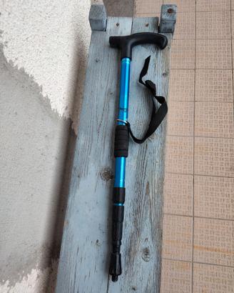 bastone da passeggio