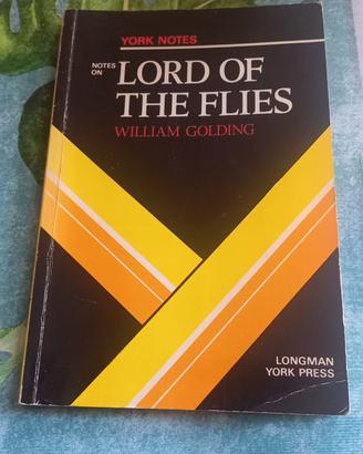 lord of the flies note e commenti 