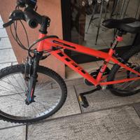 Mountain bike ragazzo 24”