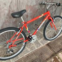 Bicicletta 24, Atala Deejay cambio Shimano