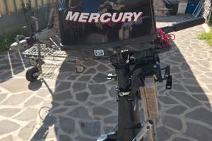 Motore Fuoribordo Mercury 4cv 4 tempi