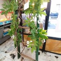 scala di legno decorativa