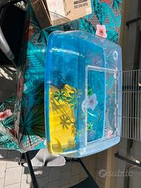 Vasca tartarughe d’acqua con liquido e lampada UV