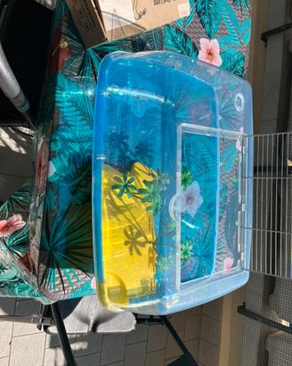 Vasca tartarughe d’acqua con liquido e lampada UV