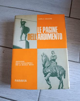 Le pagine dell'ardimento