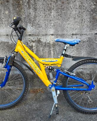 bici mountain bike biammortizzata