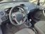 Immagine 14