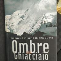 Ombre sul ghiacciaio