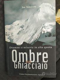 Ombre sul ghiacciaio