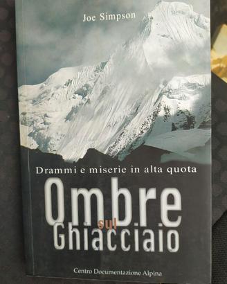 Ombre sul ghiacciaio
